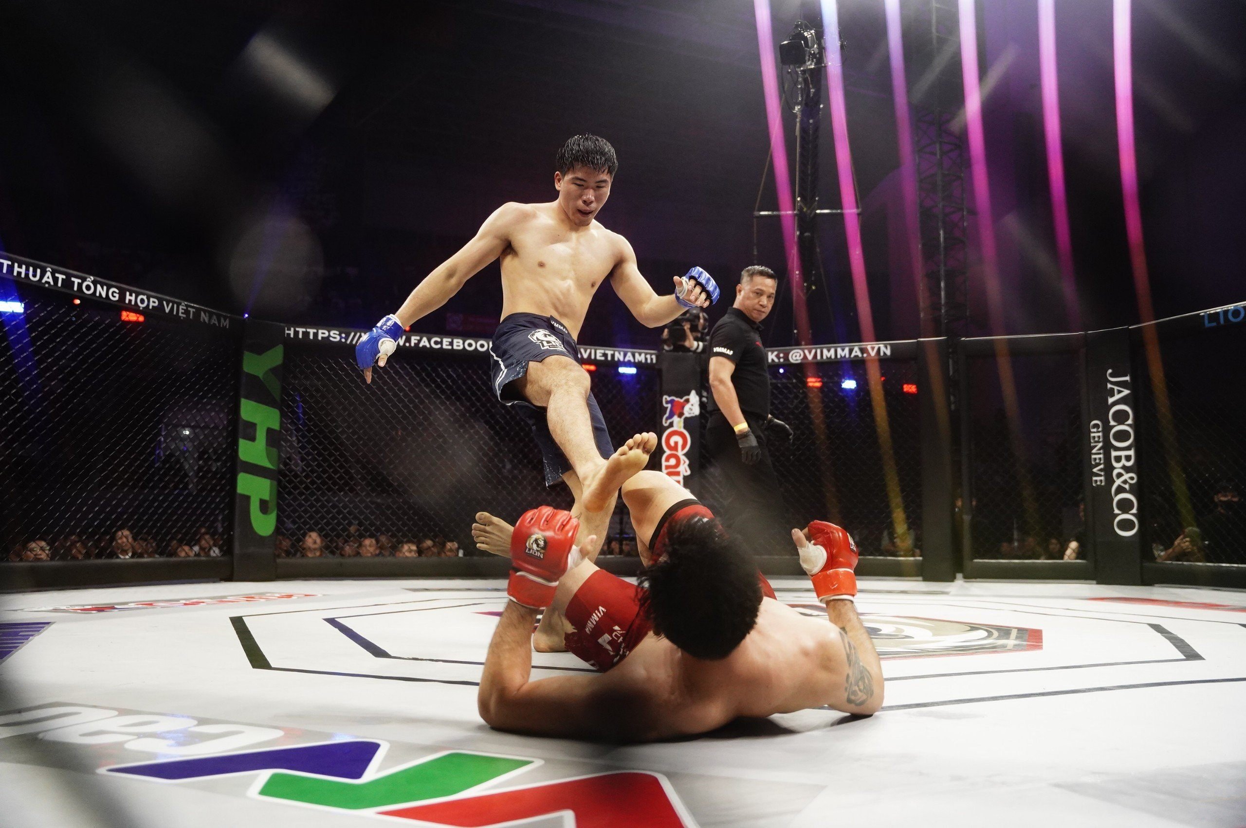 Kickfit Sports MMA: Hành Trình Ấn Tượng Tại Lion Championship